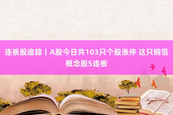 连板股追踪丨A股今日共103只个股涨停 这只铜箔概念股5连板
