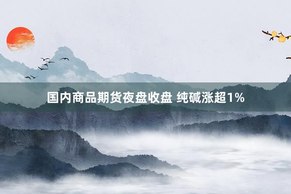 国内商品期货夜盘收盘 纯碱涨超1%