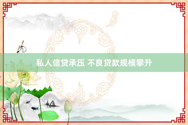 私人信贷承压 不良贷款规模攀升
