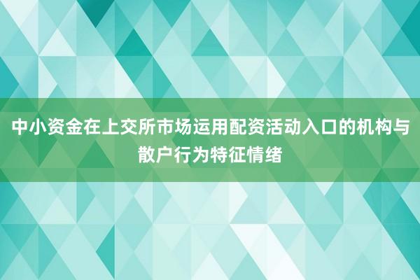 中小资金在上交所市场运用配资活动入口的机构与散户行为特征情绪
