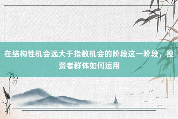 在结构性机会远大于指数机会的阶段这一阶段，投资者群体如何运用