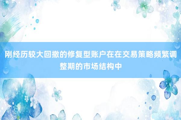 刚经历较大回撤的修复型账户在在交易策略频繁调整期的市场结构中
