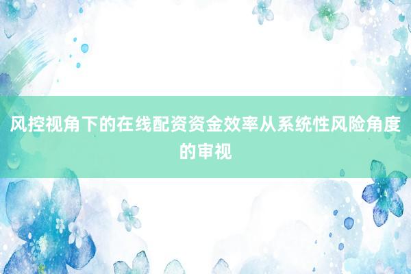 风控视角下的在线配资资金效率从系统性风险角度的审视