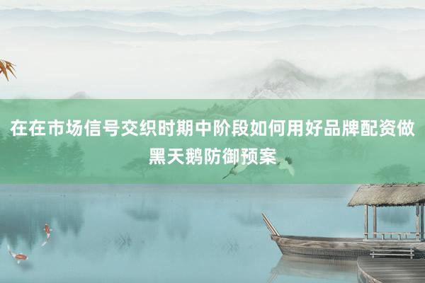 在在市场信号交织时期中阶段如何用好品牌配资做黑天鹅防御预案