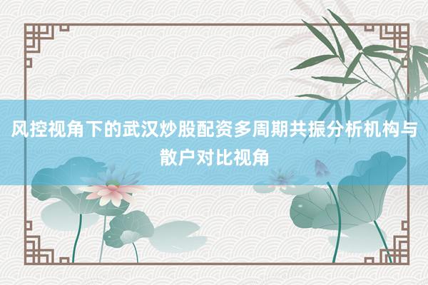 风控视角下的武汉炒股配资多周期共振分析机构与散户对比视角