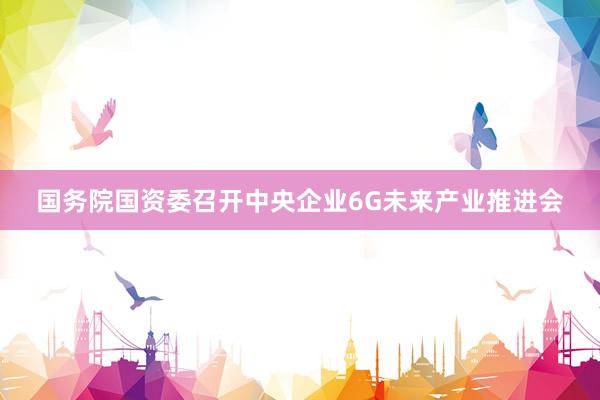 国务院国资委召开中央企业6G未来产业推进会