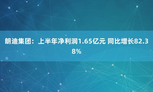 朗迪集团：上半年净利润1.65亿元 同比增长82.38%