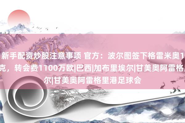 新手配资炒股注意事项 官方：波尔图签下格雷米奥18岁中场梅克，转会费1100万欧|巴西|加布里埃尔|甘美奥阿雷格里港足球会