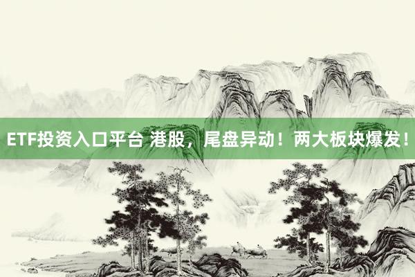 ETF投资入口平台 港股，尾盘异动！两大板块爆发！