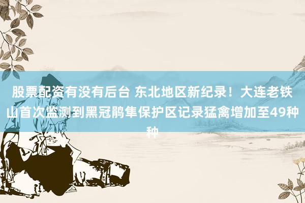 股票配资有没有后台 东北地区新纪录！大连老铁山首次监测到黑冠鹃隼保护区记录猛禽增加至49种